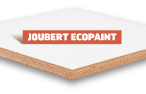 ECOPAINT